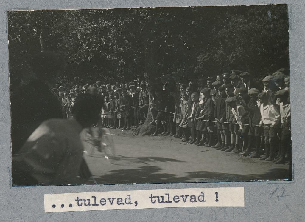 Jalgrattasõidu võistlused Rakvere Tammikus