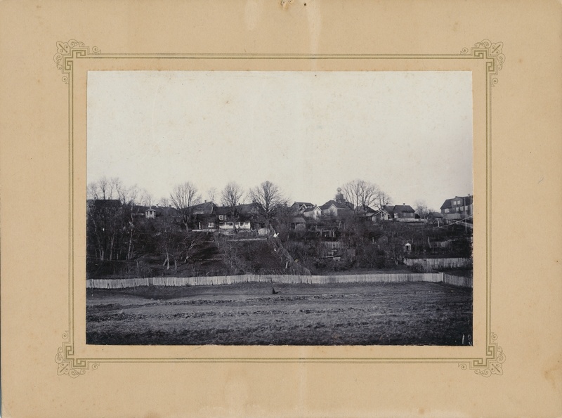 foto papil Viljandi, mäeveerul majad, raekoja torn, ees karjamaa u 1900