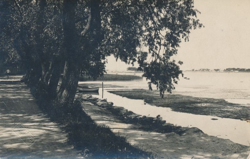 Foto. Vaikne Kallas. Foto: Parikas. Mustvalge. 1920-1939.
