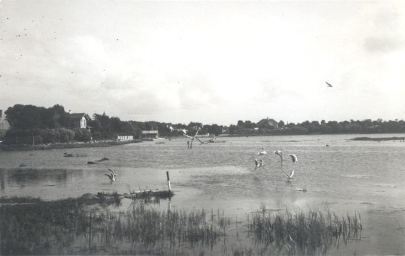 Foto. Väike-Viik vaatega põhjapoolsest sopist lõuna suunas. Linnavalitsuse album.
