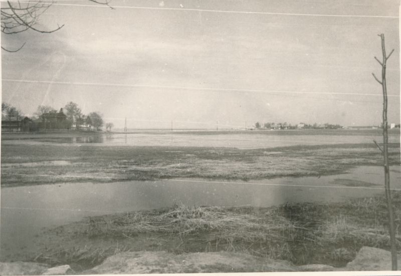 Foto. Haapsalu Väik. Viigi kallas. Vaade vaikselt kaldalt Holmi poolsaare suunas. Kevad 1960. Fotogr. R. Kalk.