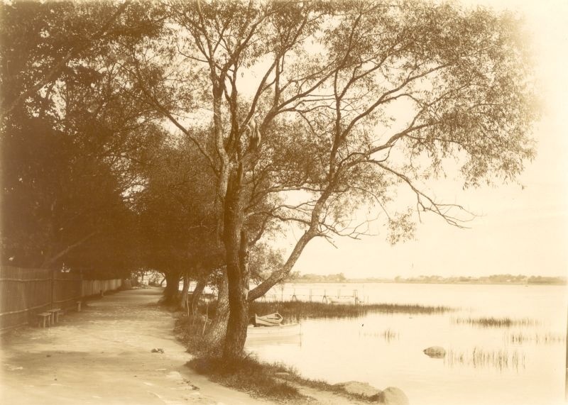 Foto. Vaikse Kalda allee Väikese Viigi kaldal. Vaade piki alleed. Keskel paadisild paadiga. 20. saj algus.