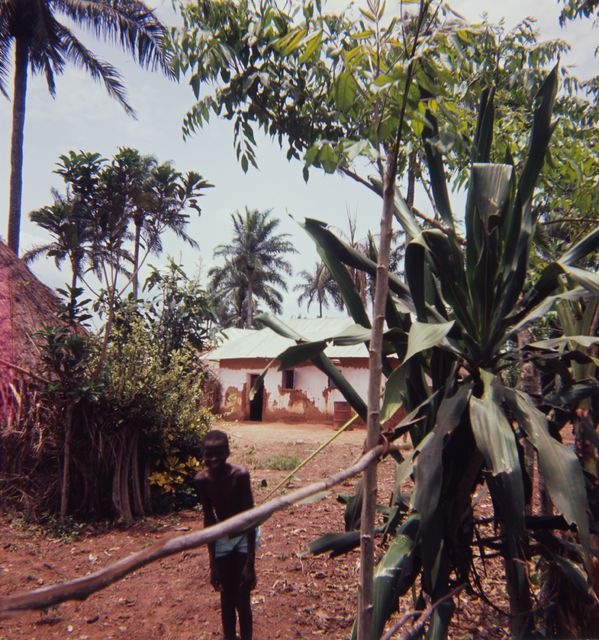 Dahomeylainen (now Benin) village and family-protecting tree