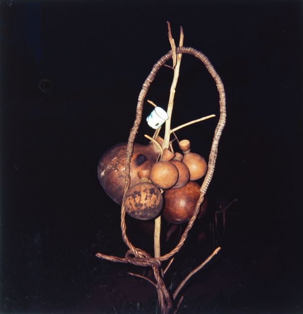 Kalebassiasts with wooden branches; object picture