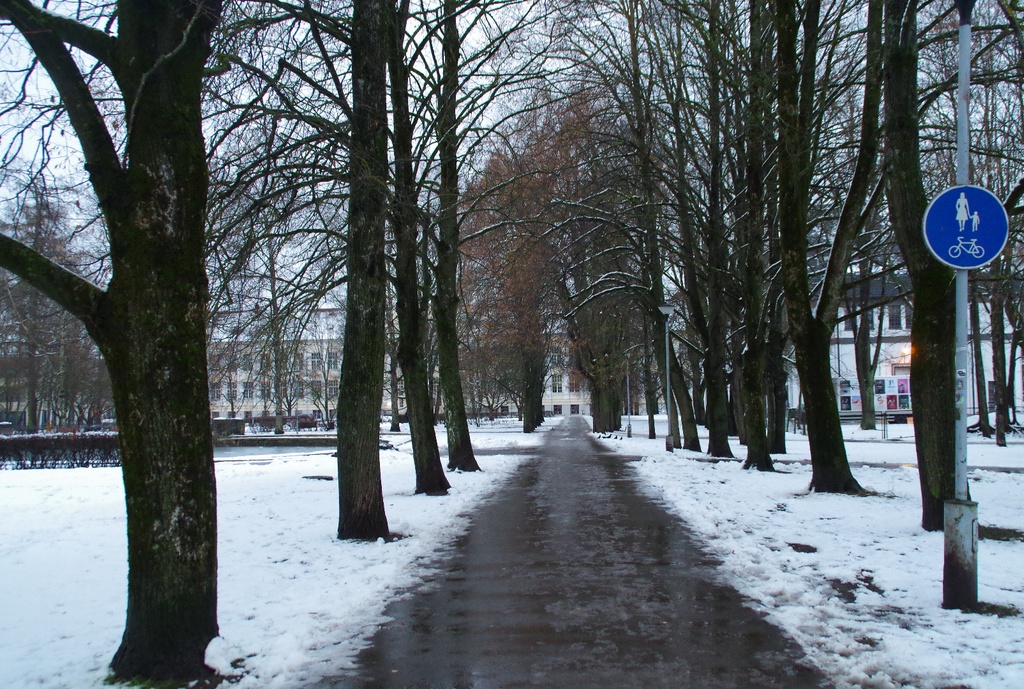 Tartu German Hand Workers Society Garden rephoto