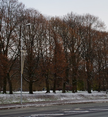 Turg Tartus Emajõe kaldal rephoto