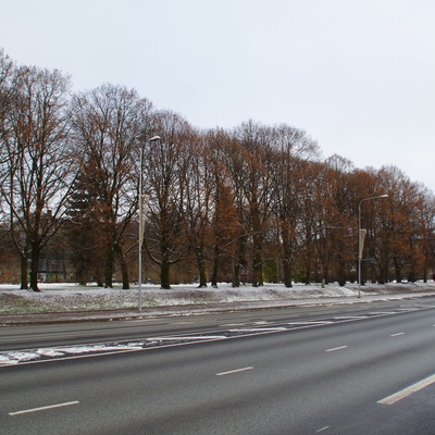 Tartu, traders on the market. rephoto