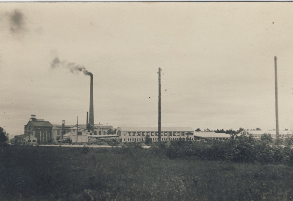 Foto. Järvakandi klaasitehas. Kaugvaade kirdest.