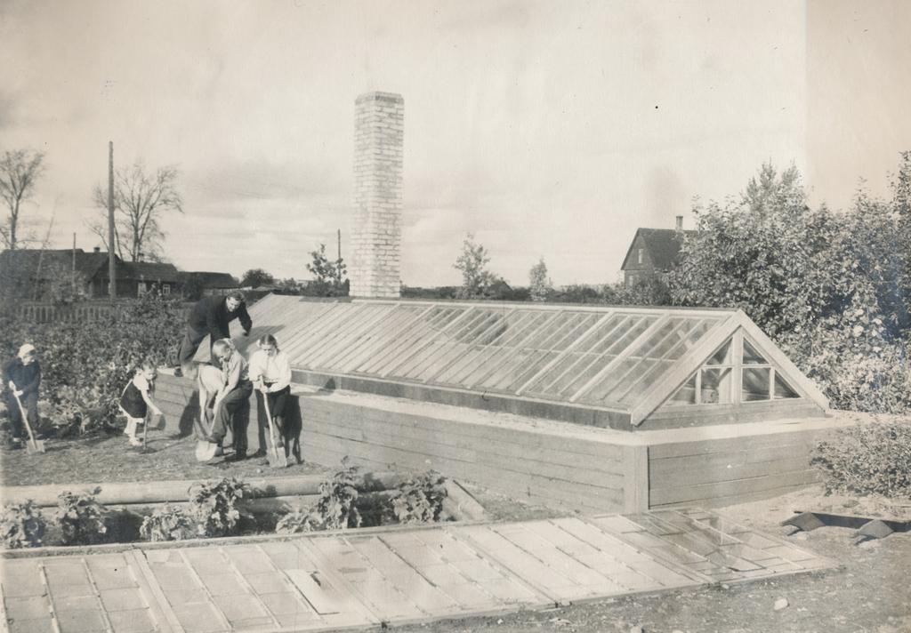 Foto  1954.aastal ehitati Võru III 7.a. kooli (Sookooli) õppe-katseaeda kasvuhoone