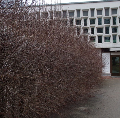 Restoran "Kaunas" Tartus, detailivaade. Arhitekt Voldemar Herkel rephoto