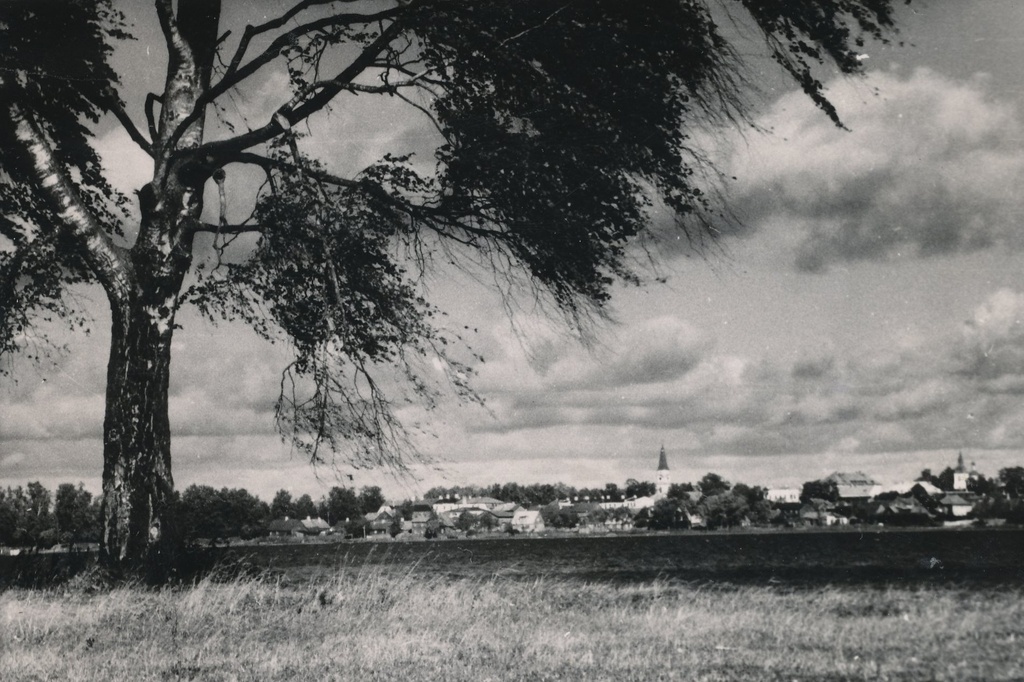Foto vaade Roosisaarelt Võru linnale  1960.