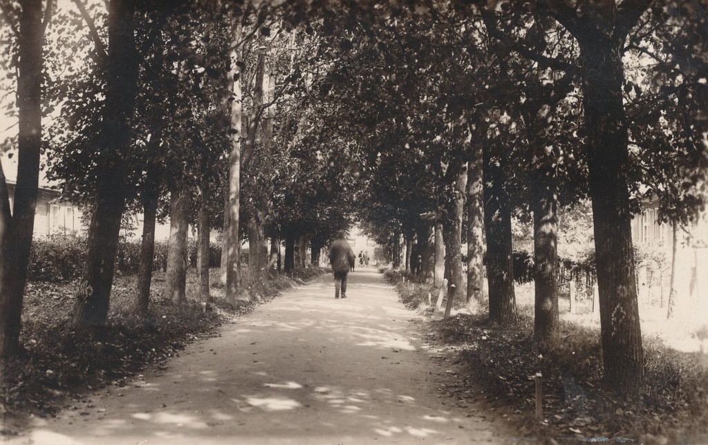 Foto Võru linnapargi allee  1920.-tel aastatel