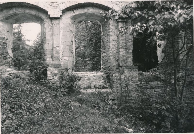 Foto. Haapsalu lossi peahoone läänepoolse osati säilinud müür (vaade lossi õuelt). 1933. Fotograaf J. Grünthal.