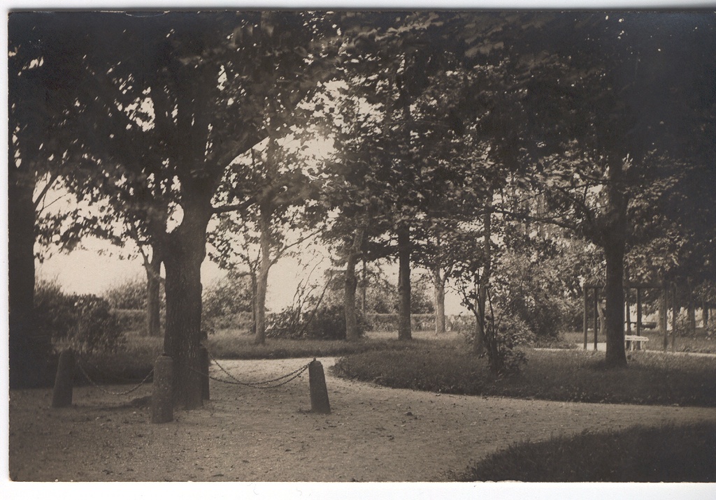Fotopostkaart Võru Park, Lutheri tamm.