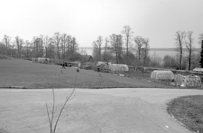 Kuremaa settlement, north. 1985