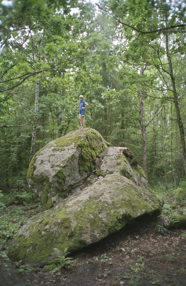 Männiku Suurkivi near the Vankse village