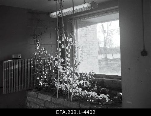 View to the front room of the Sauna of the shower of Jõgeva 11.1969.