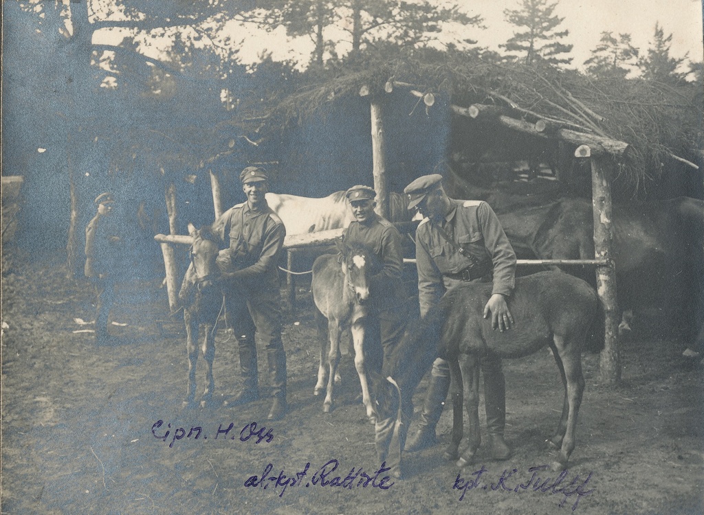 foto, kolm Eesti suurtükiväe ohvitseri hobustega laagris.