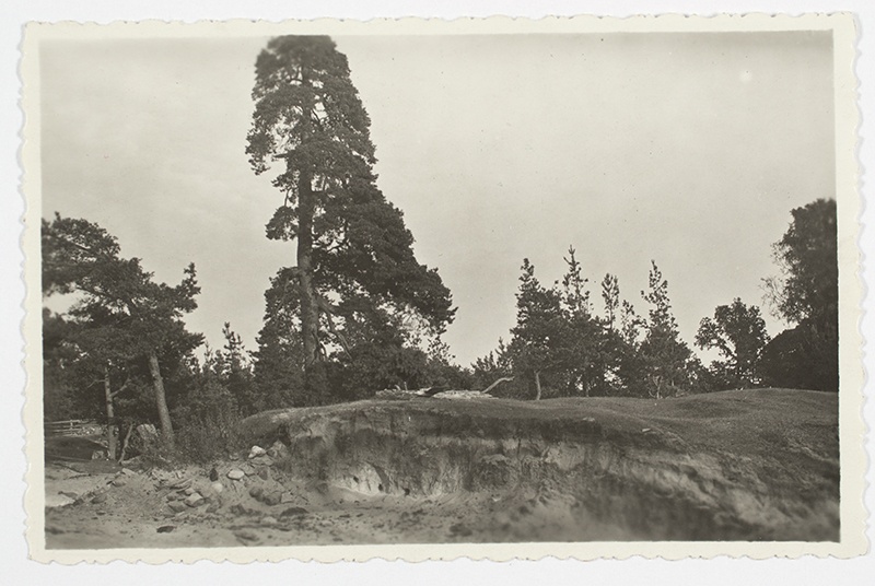 Ruhnu. Cut through the sand quadruple. The darker and white layers accumulated by the wind vary.