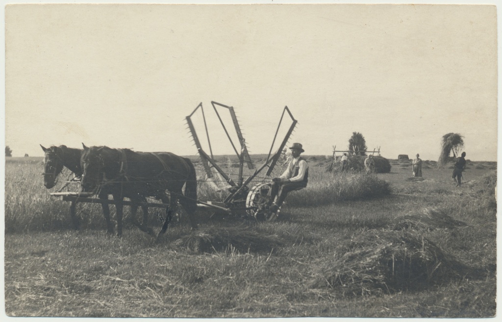 foto Kõpu khk Soo talu, viljakoristus (kahe hobuse niiduk) u 1936