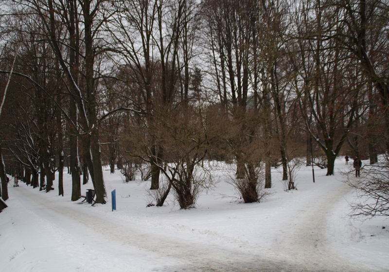 Foto. Sõjapurustused Tartus. Kalda tänav. rephoto