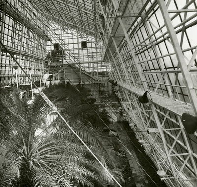 Tartu Ülikooli botaanikaaia palmimaja, katusealune vaade. Arhitekt Ingrid Mardi  similar photo