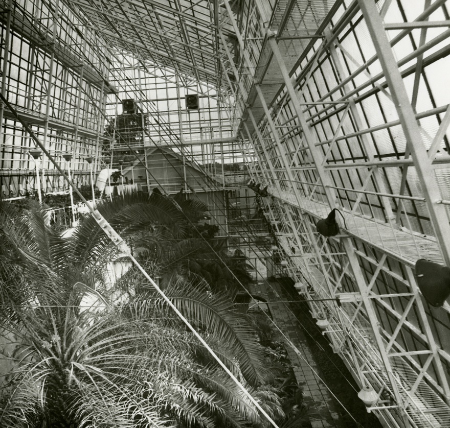 Tartu Ülikooli botaanikaaia palmimaja, katusealune vaade. Arhitekt Ingrid Mardi