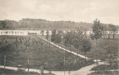 trükipostkaart Viljandi järveäärne koppel, järv, supelmaja (supelonn) u 1910  duplicate photo