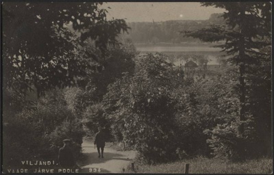fotopostkaart, Viljandi, järv Trepimäe poolt, u 1922, foto J. Riet  duplicate photo