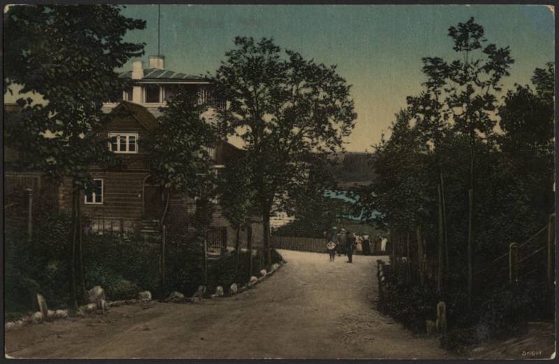 trükipostkaart, Viljandi, Trepimägi (ülaosa enne ristumist Oru tn), järv, koloreeritud, u 1910, Verlag von A. Tõllasepp