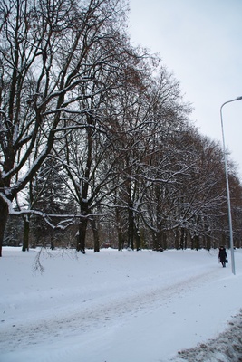 Demonstration of Tartu Free Fire Fire Fire Bridges, for their 60th anniversary in 1924 rephoto