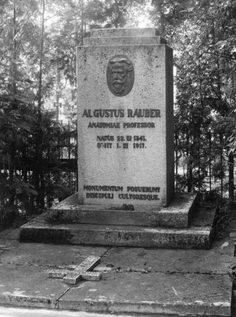 Hauasammas: August Rauber (skulptor V. Mellik, 1927). Tartu, 1964. Foto E. Selleke.