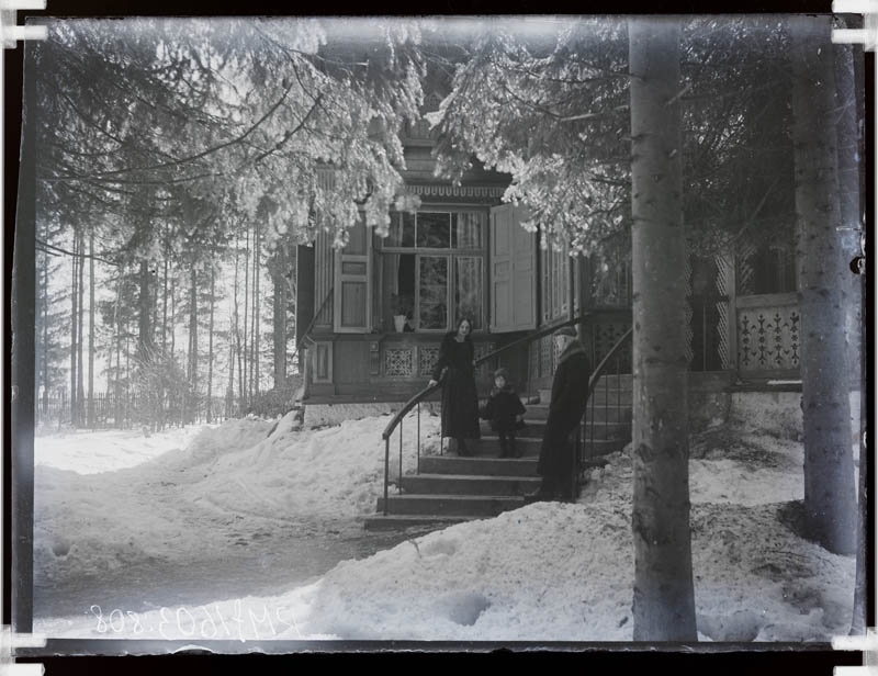klaasnegatiiv, trepil naine, mees ja laps, 1920-ndad a.