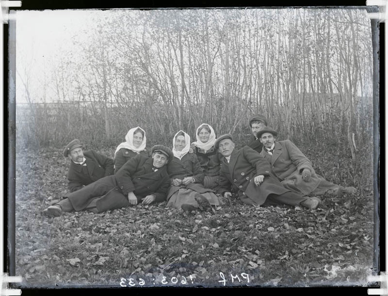 klaasnegatiiv, mehed-naised külitavad võsa all, Lõõla 1913-14.a.