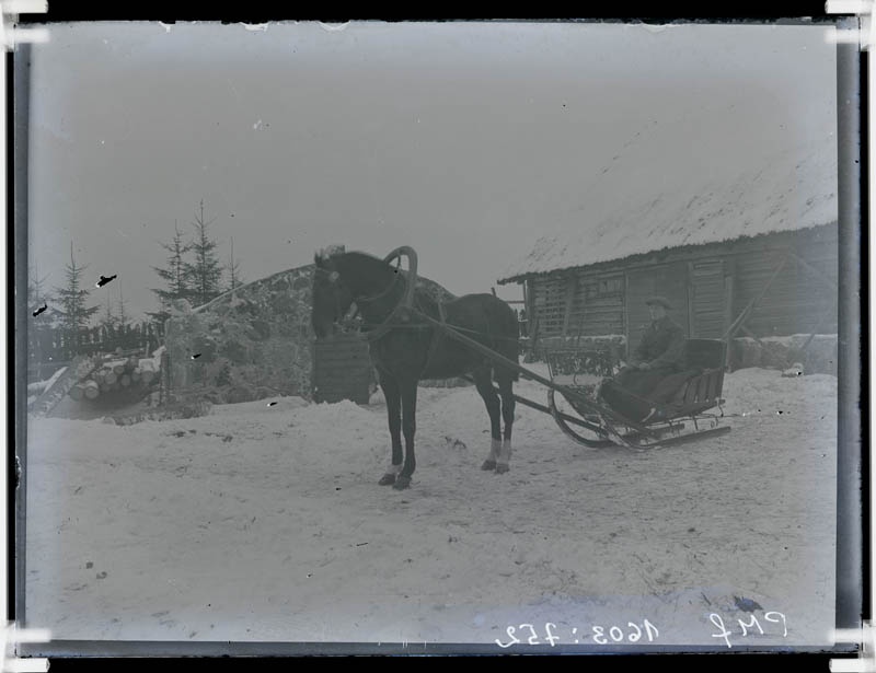 klaasnegatiiv, hobune reega, Lõõla 1920-30-ndad.a.