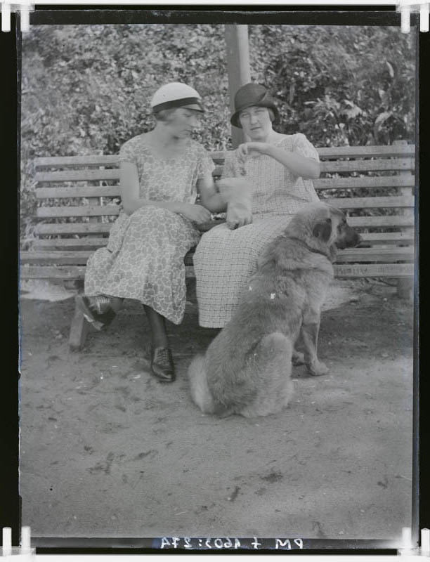 klaasnegatiiv, Helmi ja Linda Tohvelmann koeraga Paide Vallimäel 1920.a.
