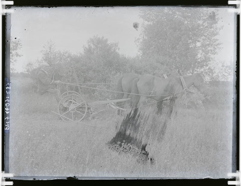 klaasnegatiiv, hobune veab vankril atra, Lõõla 1920-ndad a.