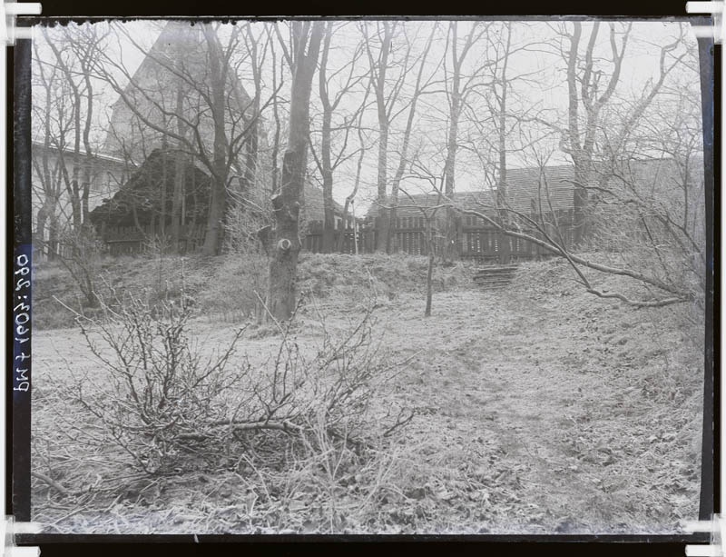 klaasnegatiiv, pargi vaade, 1920-ndad a.