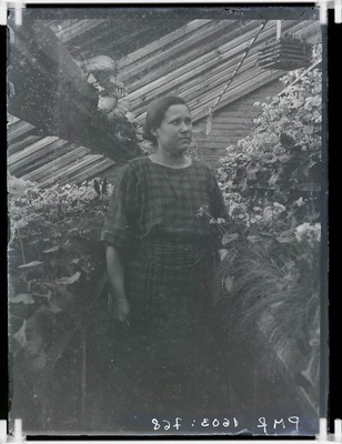 klaasnegatiiv, Vahi Põllutöökooli aiandis 1924.a.  similar photo