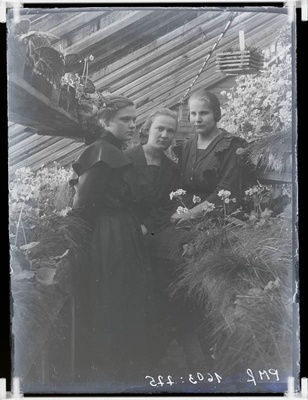 klaasnegatiiv, Vahi Põllutöökooli kasvuhoones 1924.a.  similar photo