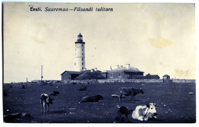 Vilsandi tuletorn ja lehmad selle ees karjamaal  duplicate photo
