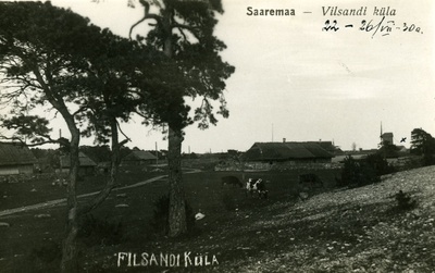 Vilsandi küla, esiplaanil lehmad karjamaal  duplicate photo