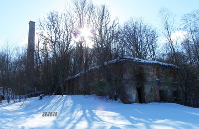 Ruins of the vineyard of Kalvi Manor rephoto