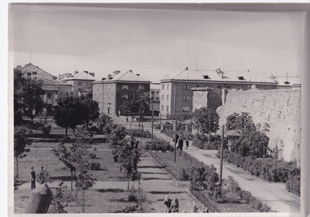 Leninic Comsomoli nim. Squirrel