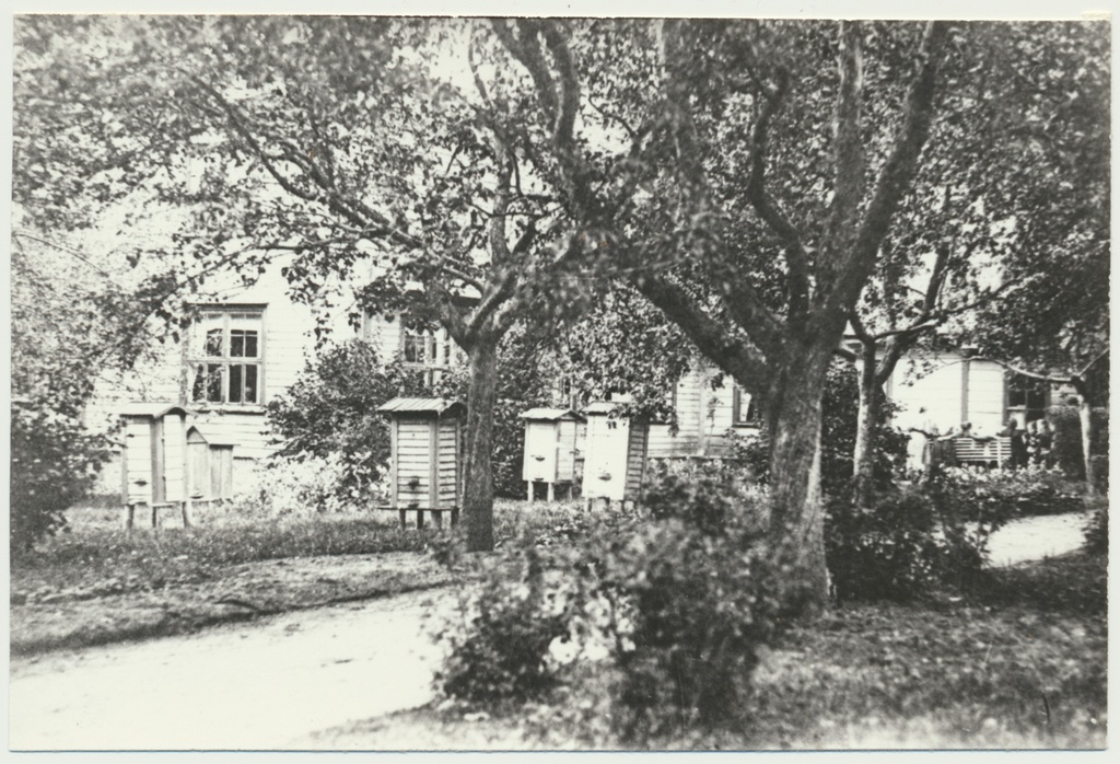 foto Halliste khk, Liplapi kodumajanduskool, mesilastarud, elumaja u 1925