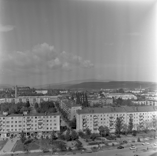 Brest, Lvov, Užgorod... Back-Carpathy.