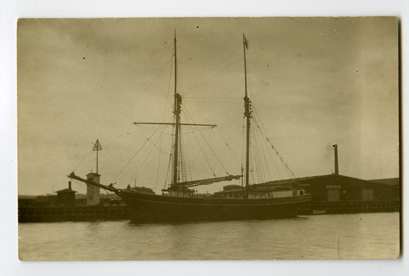 Purjelaev "Signe" sadamas