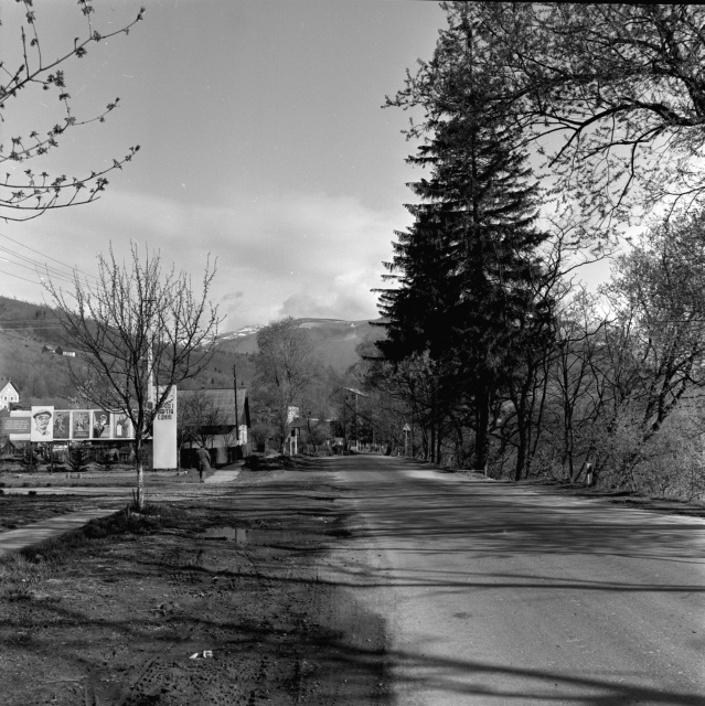 Brest, Lvov, Užgorod... Back-Carpathy.