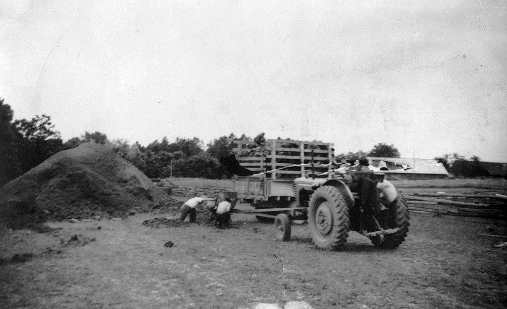 Crushing peanuts in Tustis Viljandimaa