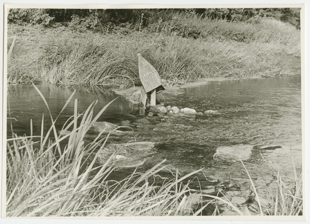 Silmumõrd Selja jões Karepa silla juures